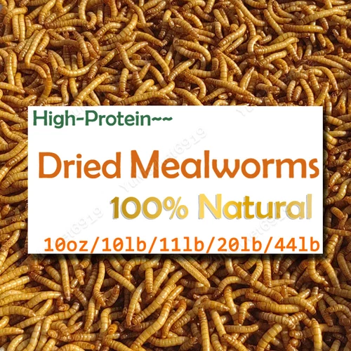 Lot Dried Mealworms for chickens Chicken Treats Duck Feed Organic Meal Worms