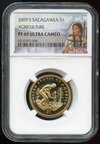2009-S Native American Dollar Proof — photo from another recent sale