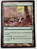 Tranquil Thicket - Archenemy: Nicol Bolas - Magic the Gathering MTG Nice!