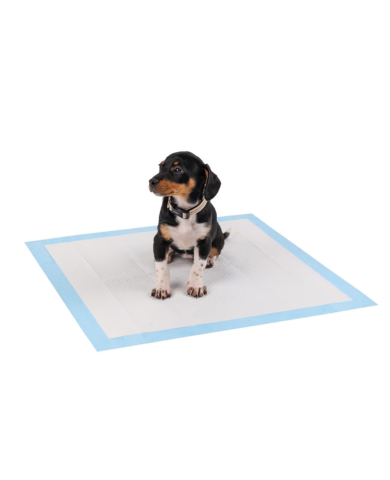 lionto Alfombrilla de Entrenamiento para Cachorros Alfombrilla higiénica para