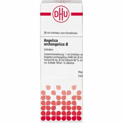 ANGELICA ARCHANGELICA Urtinktur D 1 20 ml PZN02606735