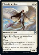 MTG Shalai's Acolyte - DMU Dominaria United NM