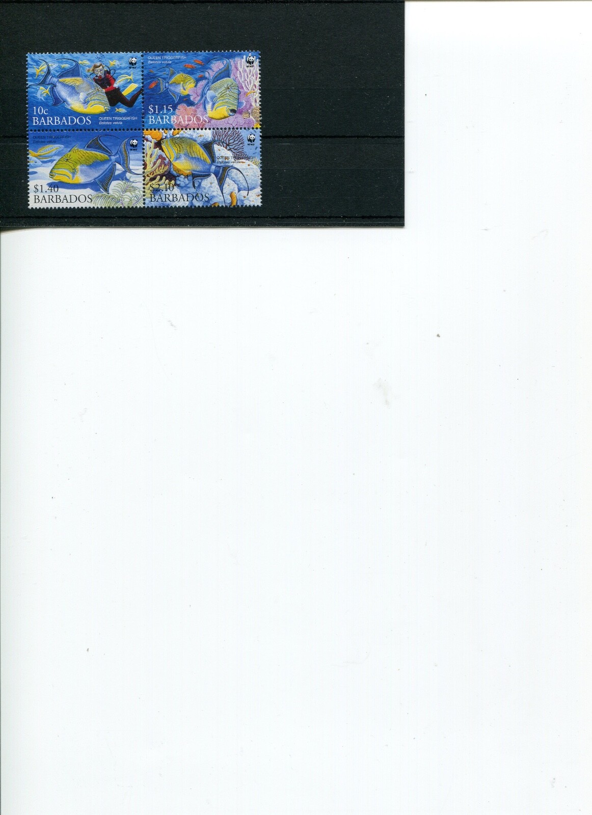 Bild 1 von 1