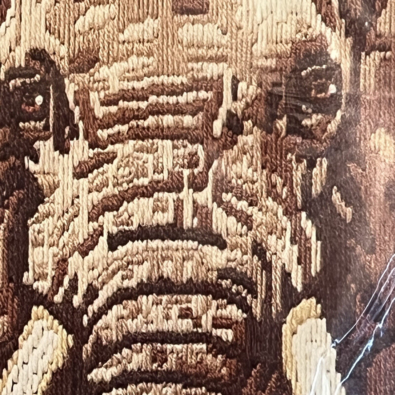 Picture 5 of 18