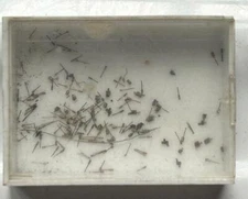 VINTAGE WATCH Parts - JOB LOT - Hands - Various Parts - watchmakers spares