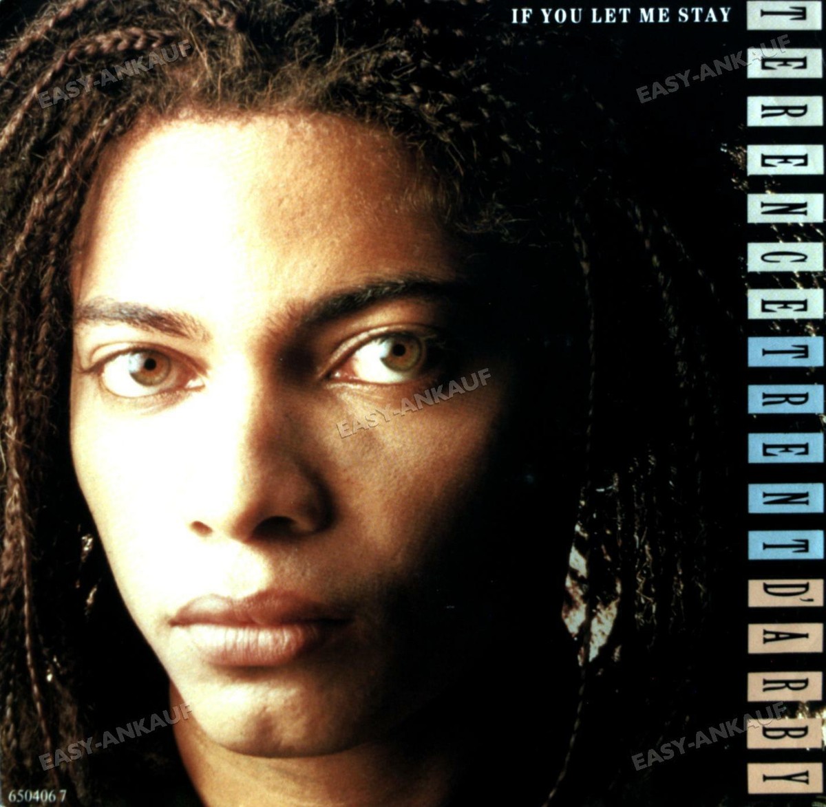 Terence Trent Darby レコード Terence Trent DArby - If You Let Me Stay / VG+ / 12