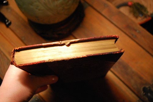 STODDARD'S LECTURES 1906 Leather/Marbled Hardcover Book California GRAND CANYON - Picture 9 of 9