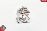 Esen SKV 14SKV019 Agr-Ventil FüR Audi,Chrysler,Dodge,Jeep,Mitsubishi,Seat,Skoda,