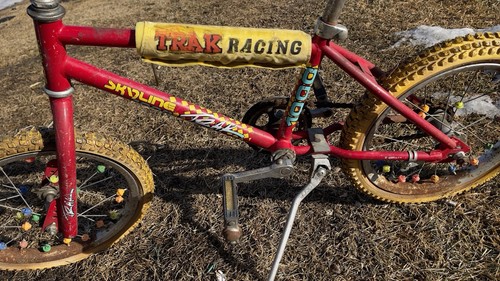 Vintage Skyline Trak Racing BMX Bike - 第 2/5 張圖片
