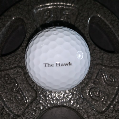 Glen O Rama 2004 Logo Golf Ball - Picture 3 of 3