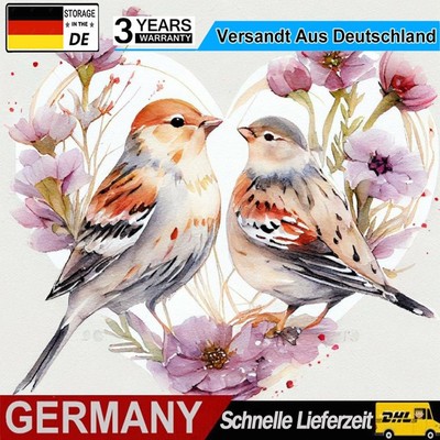5D DIY Full Round Drill Diamond Painting Love Sparrow Kit Home Decor 40x40cm