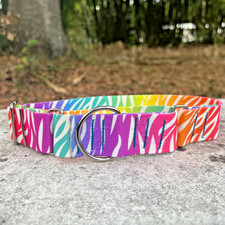 1.5" Wide Martingale Dog Collar - Colorful Neon Zebra Greyhound Whippet Collar