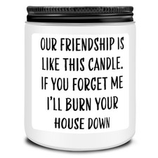 Friends Birthday Christmas Gifts for Women, Friend Funny Scented Soy Candles ...