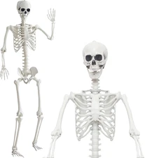 7.9Ft/240Cm Halloween Giant Skeleton Life Size Skeleton Full Body Plastic Human 
