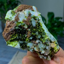 172G Rare! Natural Garden quartz cluster specimen mineral healing from SiChuan