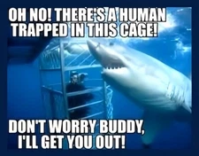 Oh No! There's A Human Trapped In This Cage Don't Worry Shark Fridge MAGNET