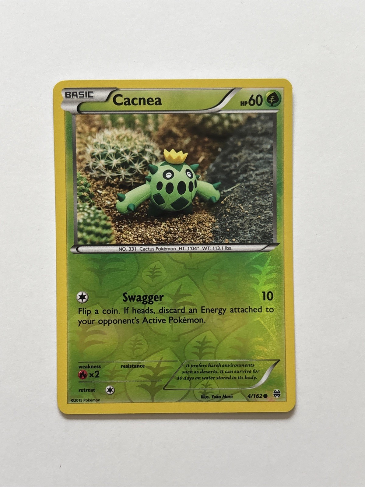 Cacnea 4/162 Rev Reverse Holo XY Breakthrough Pokemon NM
