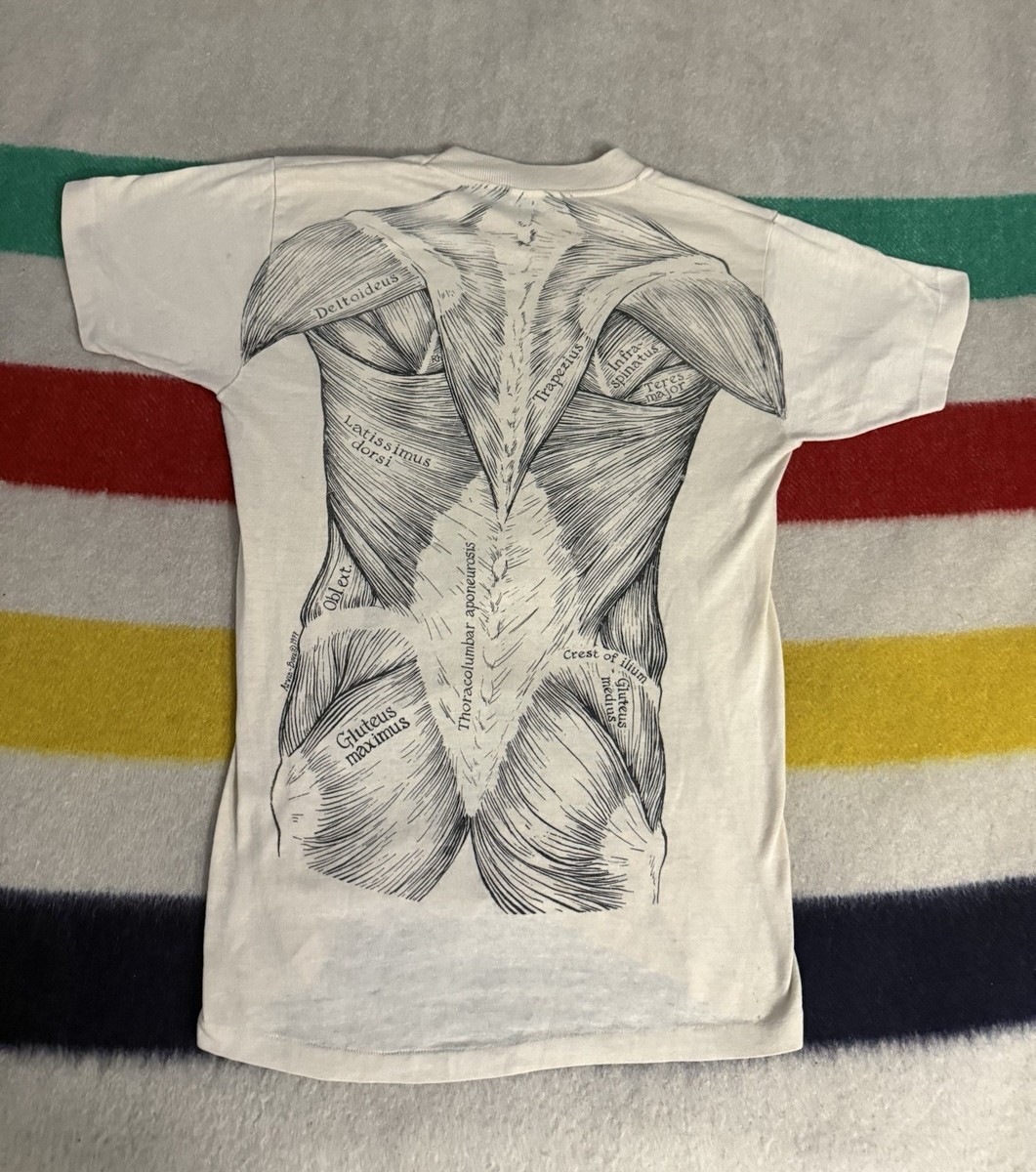 Vintage 70s Leslie Arwin Shirt Pat Bova Anatomical Chart Pectoral Muscle 1977 View 2