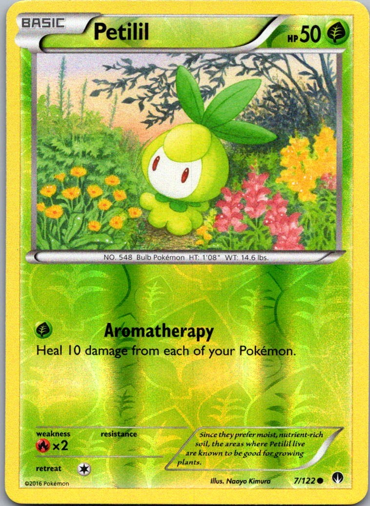 Petilil Common XY - BREAKpoint 7/122 NM