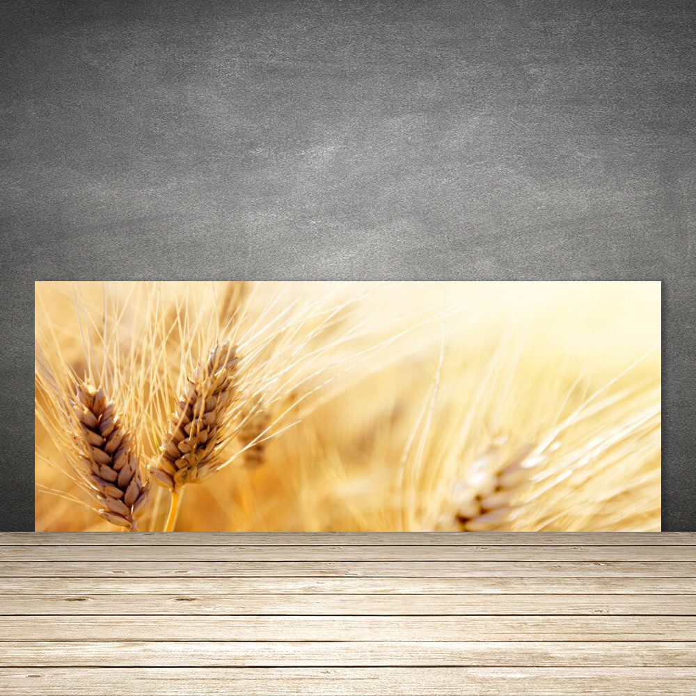 Crédence de cuisine en verre floral pour illuminer votre plan de travail