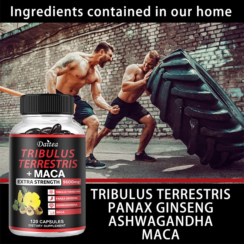 Capsule Guadagno Muscolare Aumento Forza Supporto Salute Generale 120 Pillole foto 6