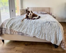 Large Dog Blanket, 80" x 60" Reversible Fleece Sherpa Blankets, Soft Plush Pe...