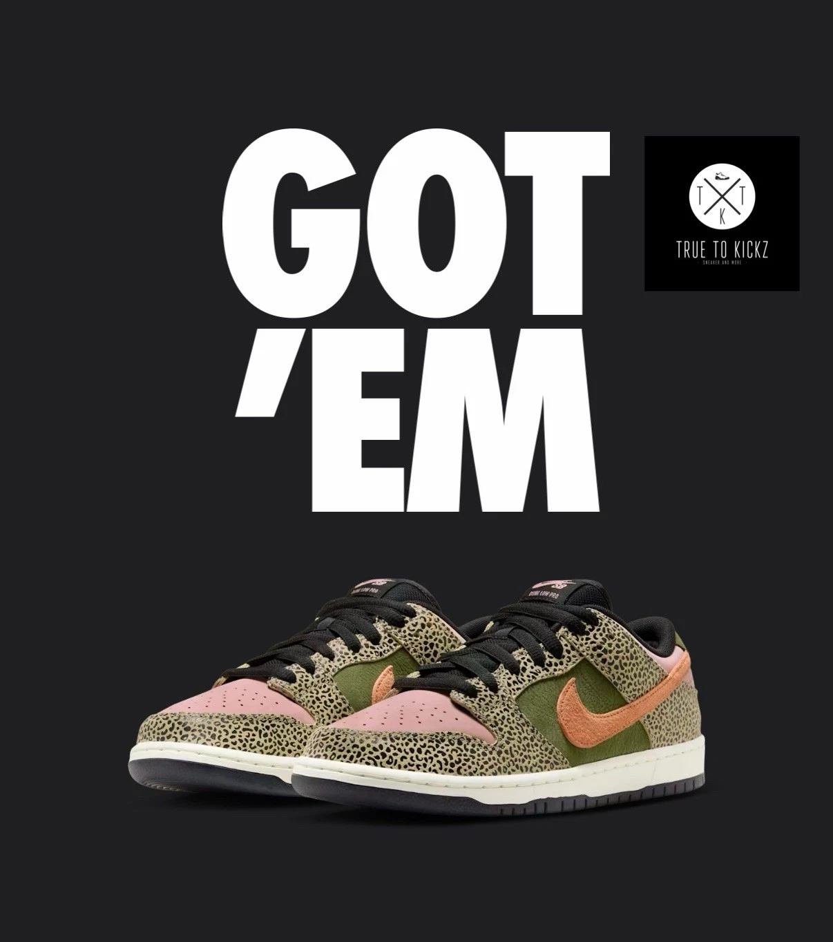 Nike Sb Dunk Low x Arts Rec EU46 Rivenditore✅