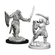 WizKids D D Mini 28mm Dragonborn Female Paladin Pack New