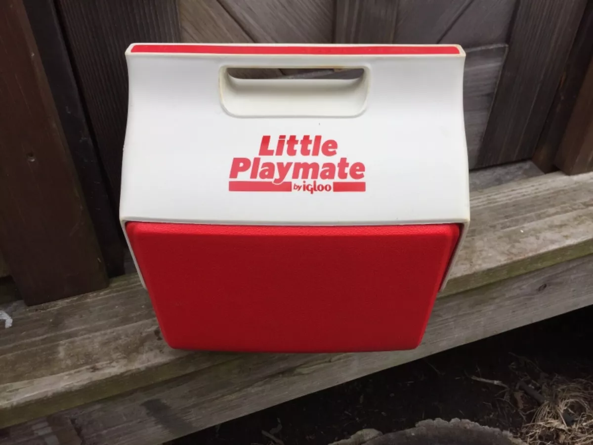 Little hotsell igloo cooler