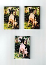 New Rat Terrier Pet Dog Magnet Set 3 Magnets By Ruth Maystead MFR # RAT-1