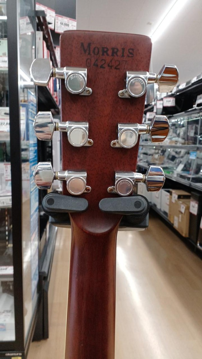 MORRIS W-39M Used Acoustic Guitar | eBay MORRIS W-39M Used Acoustic Guitar | eBay
