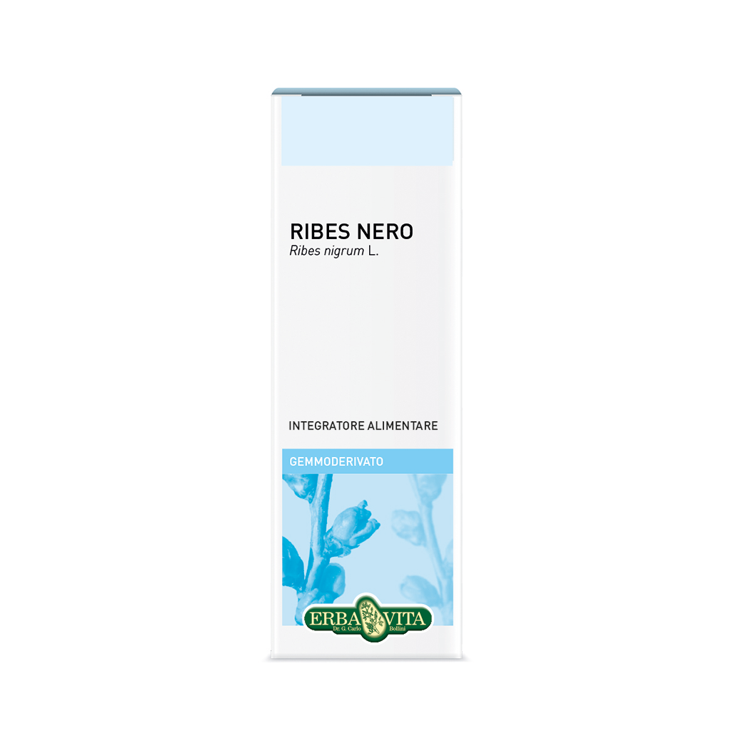 Ribes Nero Gemmoderivato Erba Vita 50ml