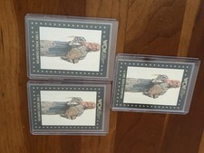 Ric Flair Wcw Championship Card Lot