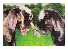 MY KIDS PHOTOGRAPHS (THE OTHER JOKE PHOTO) / Humorous Magic Novelty