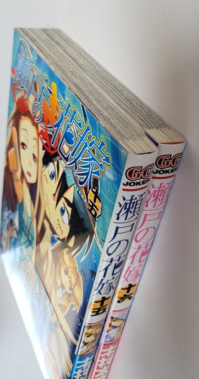 Japanese Manga Square Enix Gangan Comics JOKER Tahiko Kimura My Bride is a M...