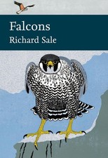 Falcons by Richard Sale (English) Hardcover Book