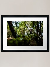 Lego Ahsoka in the woods Framed Art Framed Wall Art Poster Canvas Print Picture