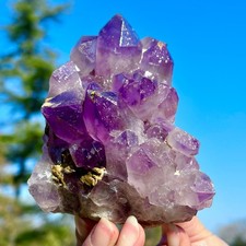 1.22LB Natural Amethyst Cluster Quartz Crystal Backbone Mineral Specimen Healing