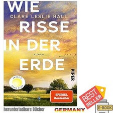 Wie Risse in der Erde: Roman »Ein Buch, das ...