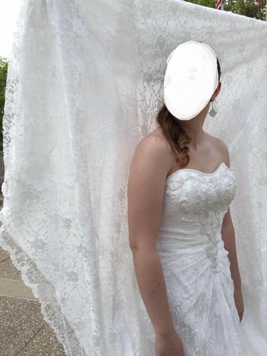 David's Bridal Wedding Dress With Veil 