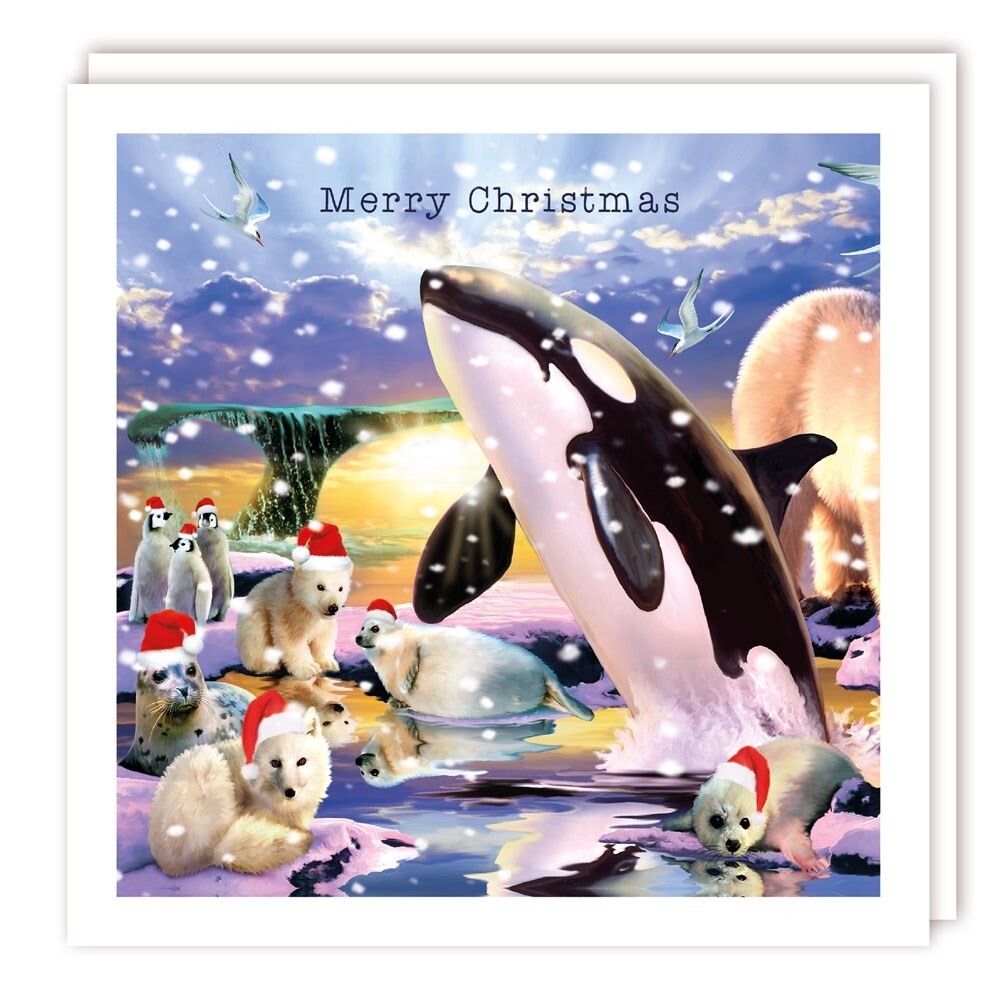 Charity Christmas Cards 5 Orca and Sea Friends – Rainbow Trust Xmas Cards