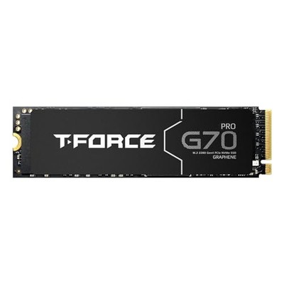  T-Force Heatsink DRAM SLC Cache 3D TLC NAND NVMe InnoGrit 1TB G70 PRO Graphene