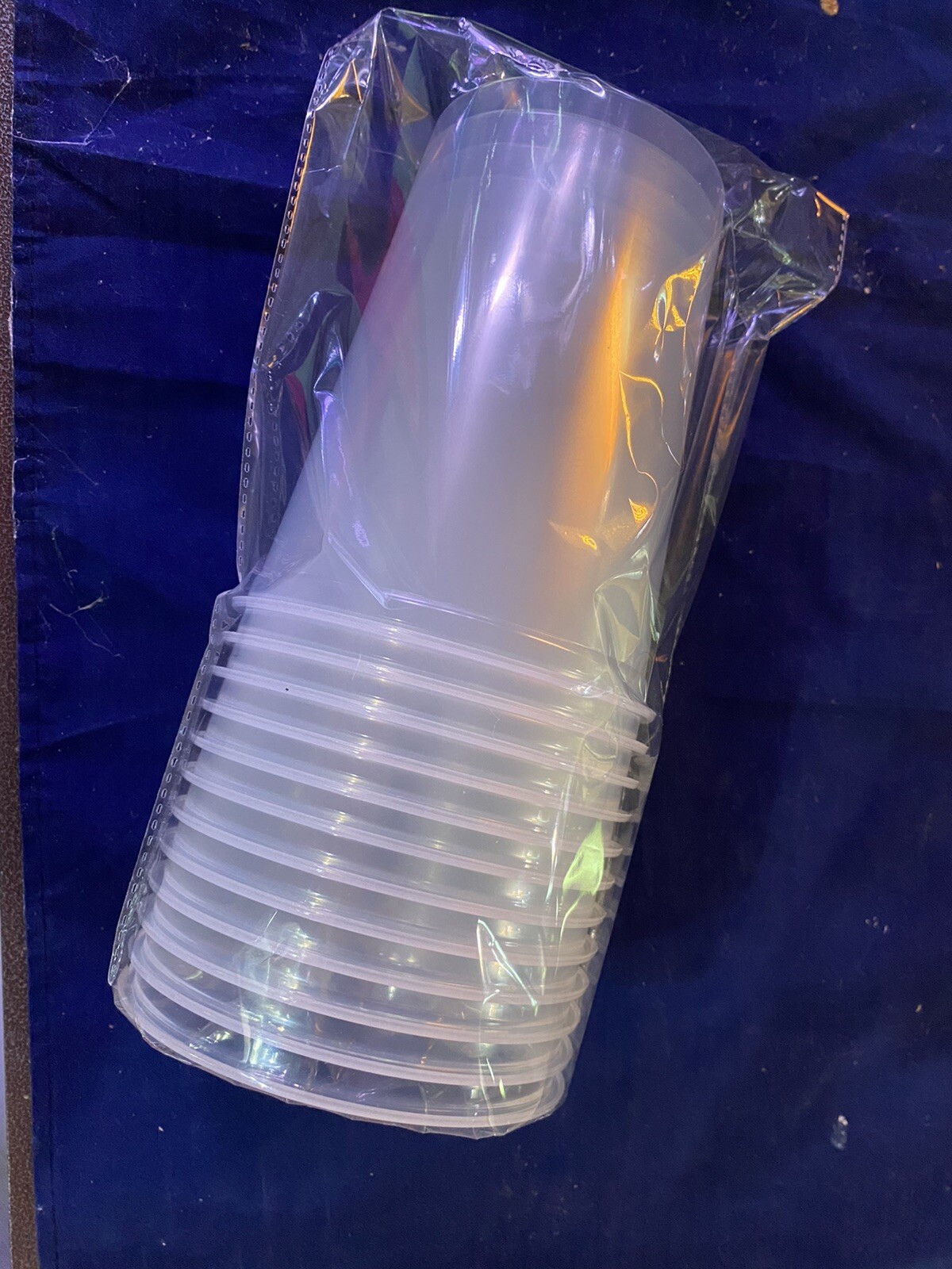 Fruit Fly Insects Cultures Cups 32oz With Vented Lid PK 12 “ FREE