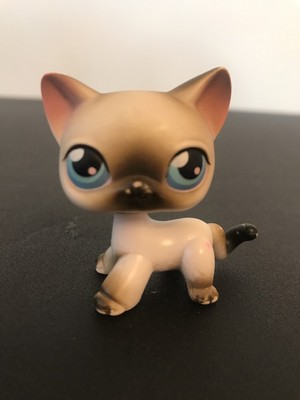 lps siamese cat