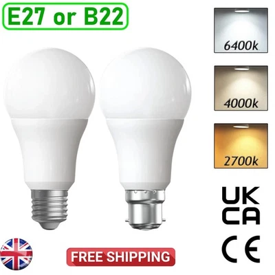 PAUL RUSSELLS LED GLS LIGHT BULBS 40w 60w 100w WARM/COOL WHITE BC/B22 ES/E27 Bayonet Daylight