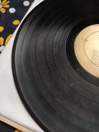 The Grateful Dead 1967 Vinyl Mono! - Foto 7 di 9