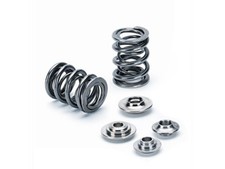 Supertech SPRK-EC3025D-SE Seedoo 4TEC Dual Valve Spring Kit