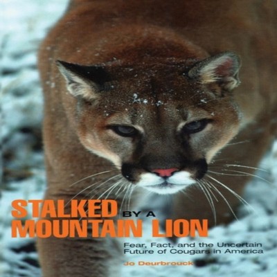 Stalked by a Mountain Lion Fear Fact And The Uncertain Future Of