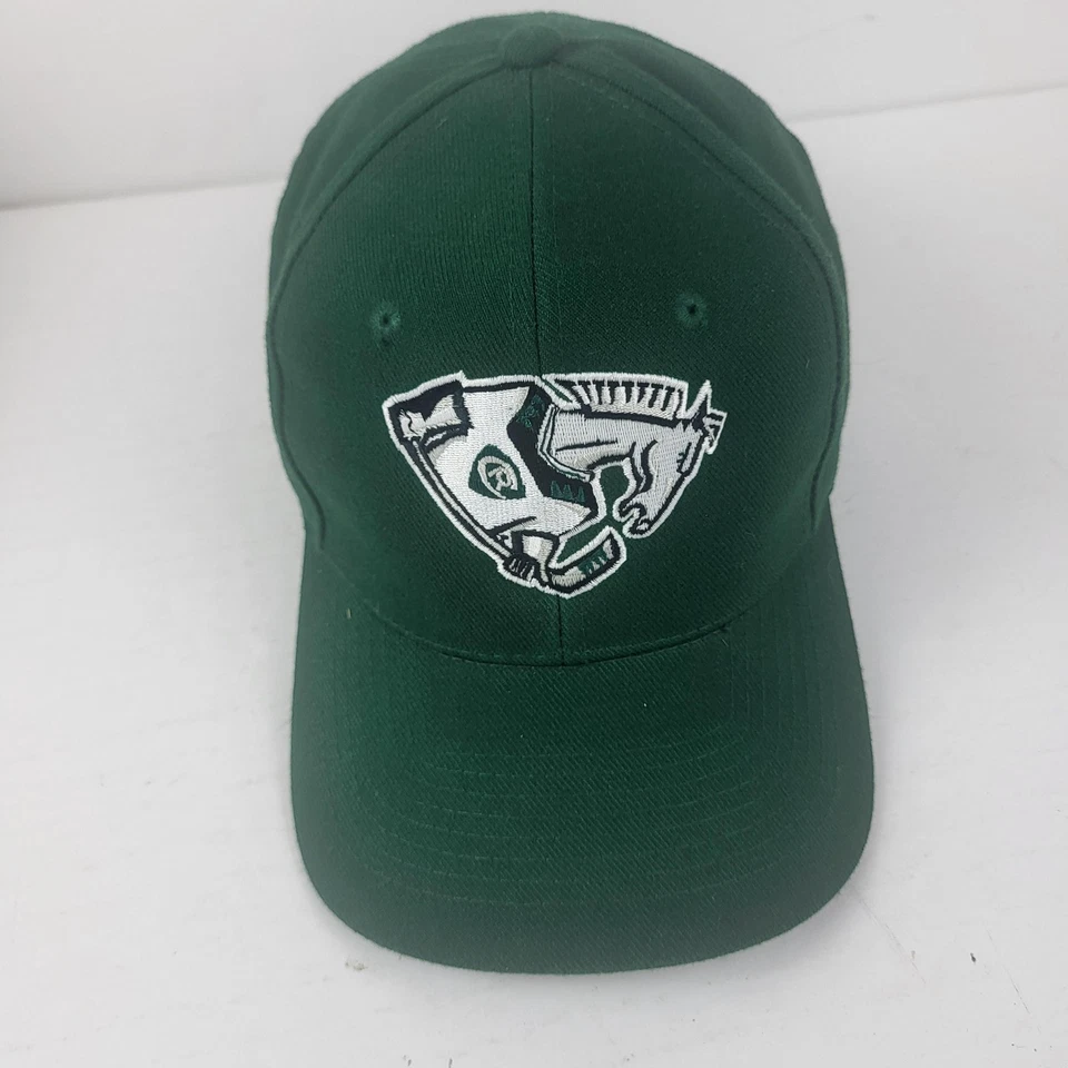 Cedar Rapids Roughriders Hat Iowa Hockey Cap Snap Back Green Embroidered Horse - Image 3 of 4