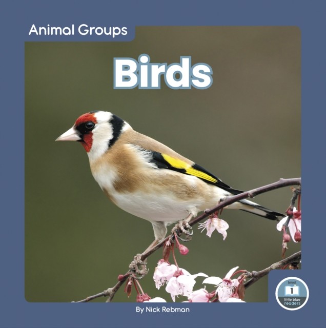 Birds by Nick Rebman (Hardback Book) - Image 3